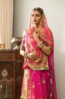 Parineeta Rajputi Poshak