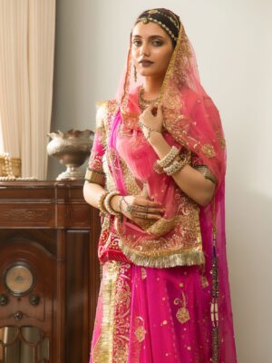 Parineeta Rajputi Poshak