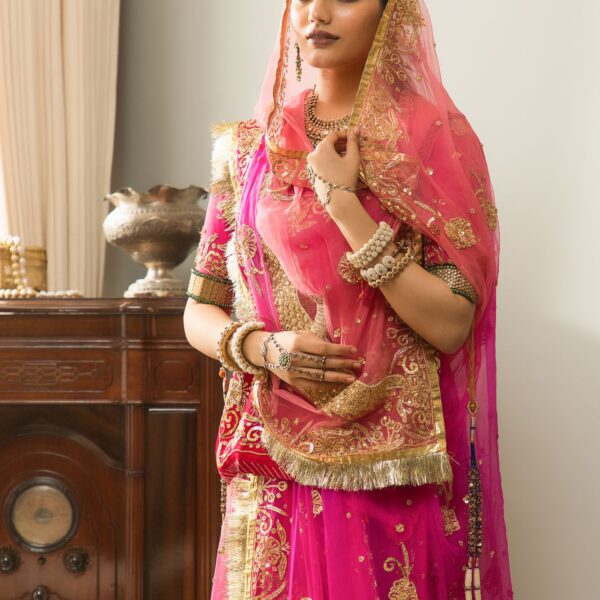 Parineeta Rajputi Poshak