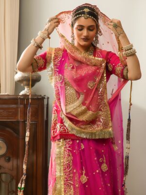 parineeta-798685_l (1)